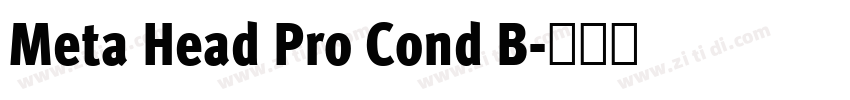 Meta Head Pro Cond B字体转换